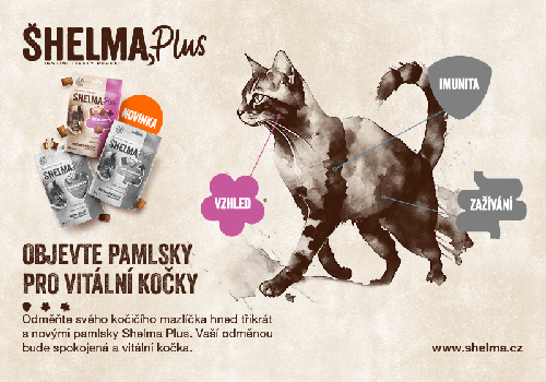 Pamlsky, které zlepšují kvalitu kůže a srsti? Otestovali jsme Shelma Plus BEAUTY