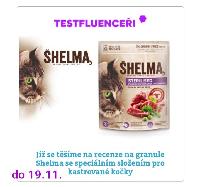 příloha